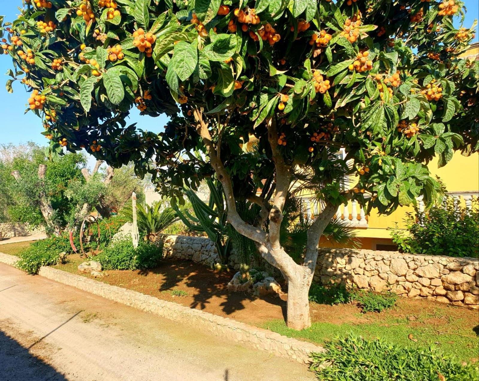 Villa Sargheruoli Monteroni di Lecce Exterior photo