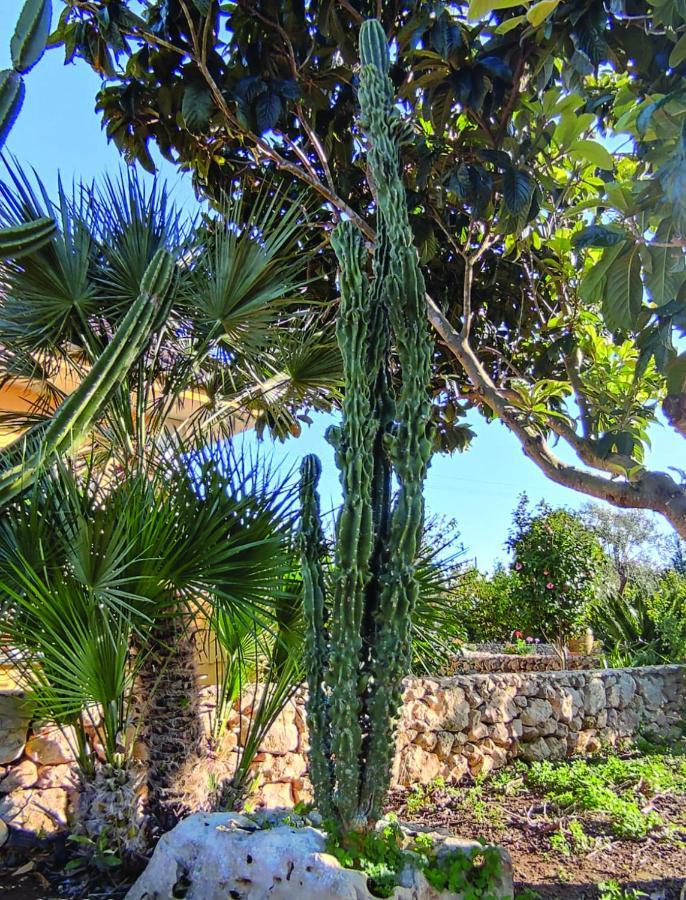 Villa Sargheruoli Monteroni di Lecce Exterior photo